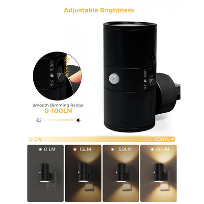 Intelligent Sensor Light Control Motion Sensor Human Body Sensor 2-in-1 Night Light Led Wall Lamp Downlight Bedroom